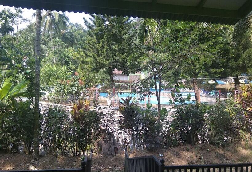 Pensiune Cipaniis Asri