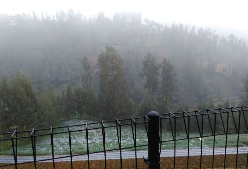 פנסיון Jazzi Homestay