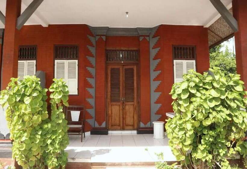 膳宿费 Lilacita Beach Lovina