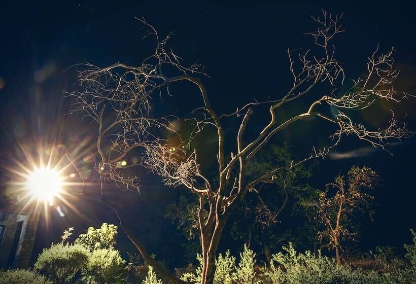 리조트 Ghanerao Jungle Lodge