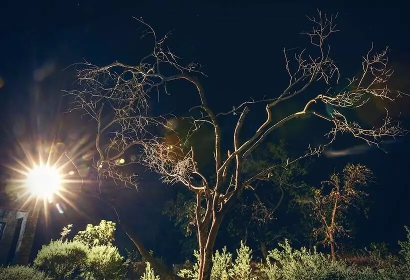 Lomakeskus Ghanerao Jungle Lodge