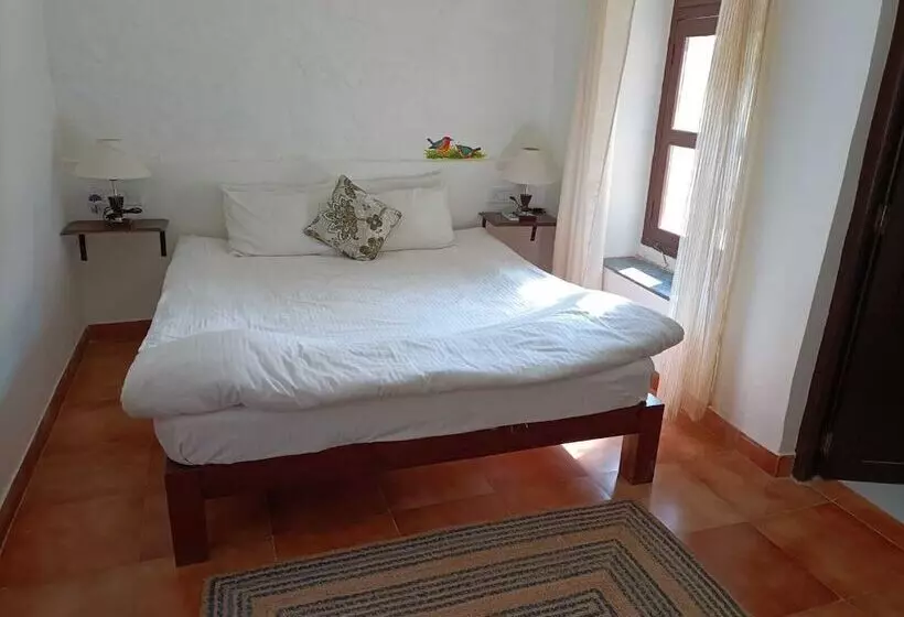 Lomakeskus Ghanerao Jungle Lodge