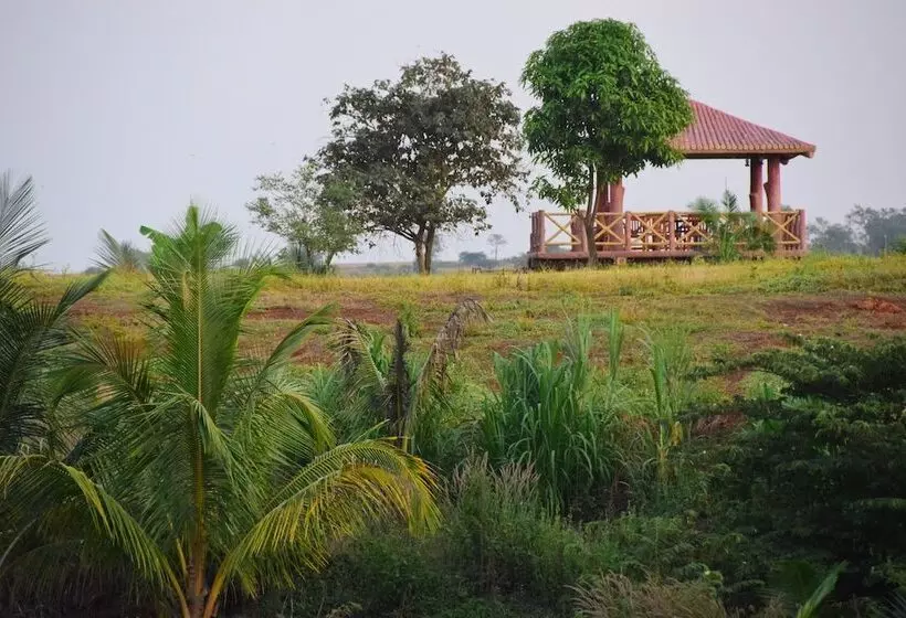 リゾートホテル Fazlani Natures Nest   The Wellness Retreat