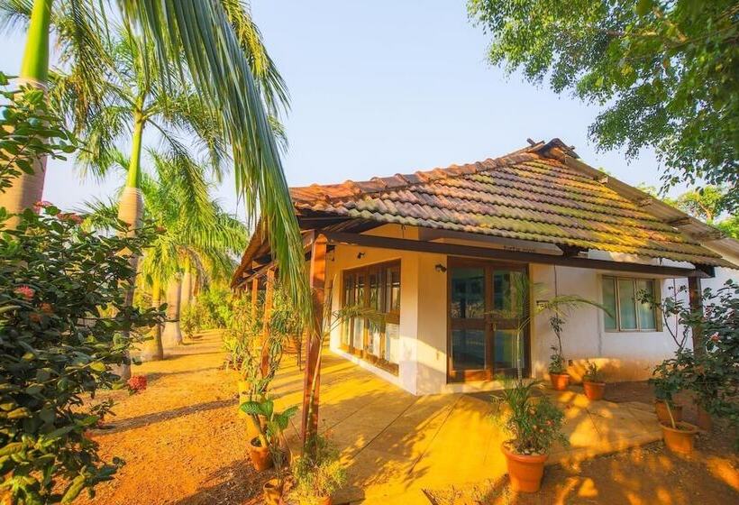 Hotel Beyond Stay Mahua Bagh Murud