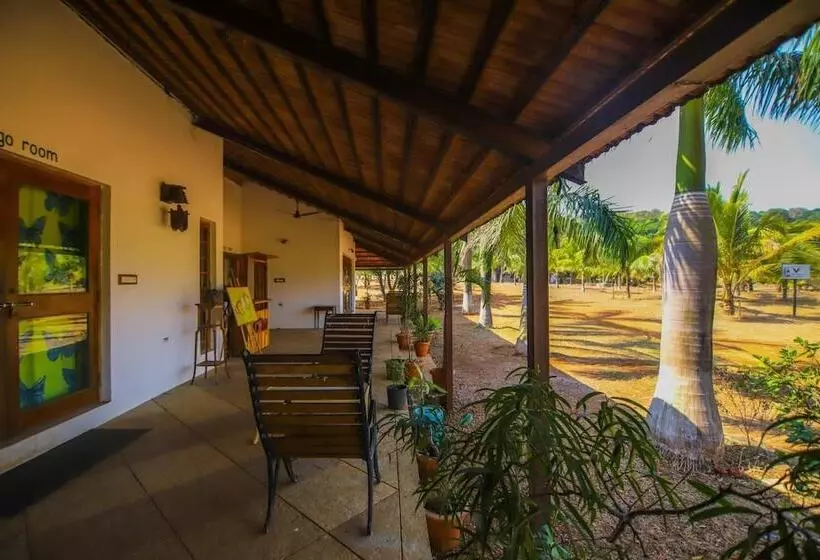 Hotelli Beyond Stay Mahua Bagh Murud