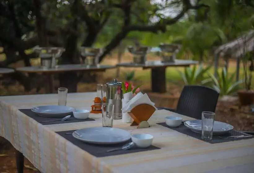 Hotelli Beyond Stay Mahua Bagh Murud