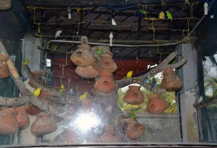 ホテル Dolphin   Bhakkhali