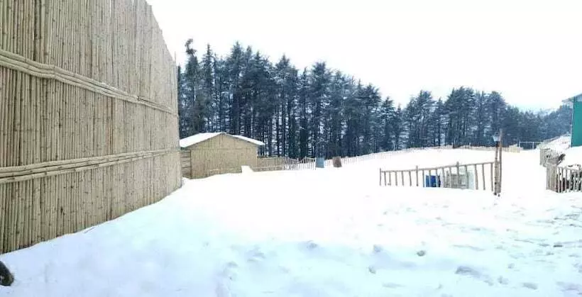 هتل Junglee Camps & Resort