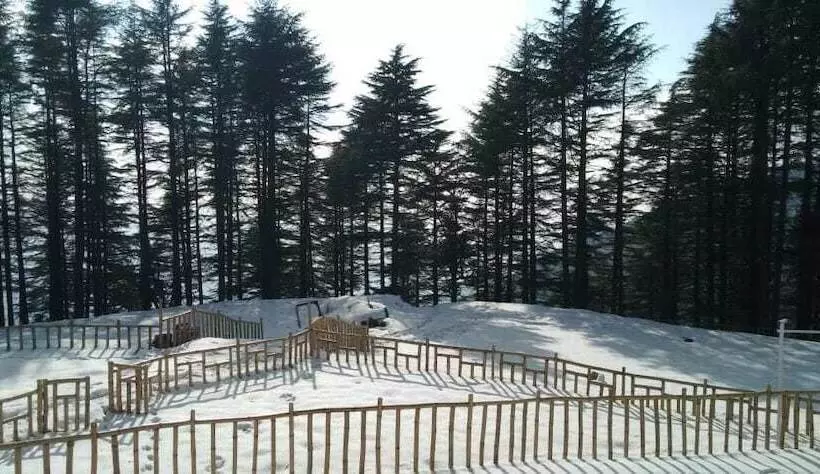 هتل Junglee Camps & Resort