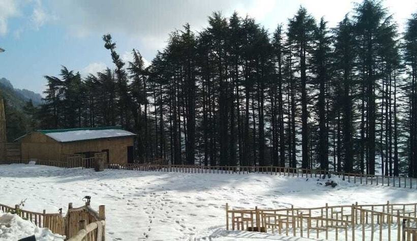 Hotell Junglee Camps & Resort