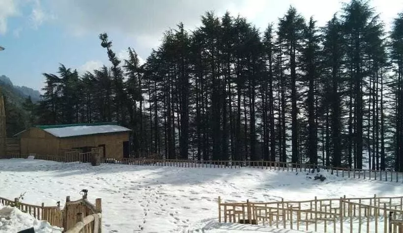 هتل Junglee Camps & Resort