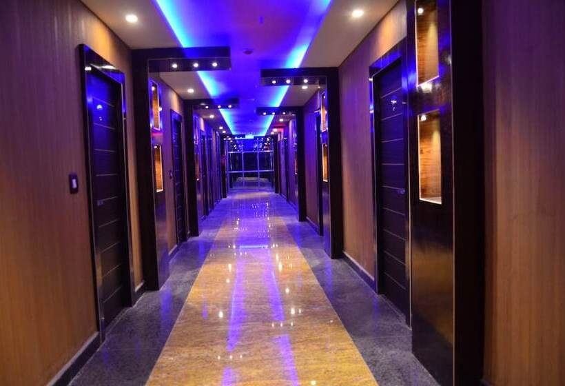 فندق Dolphin Chocolate Inn