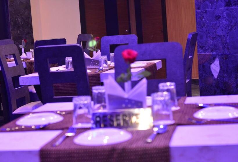 فندق Dolphin Chocolate Inn