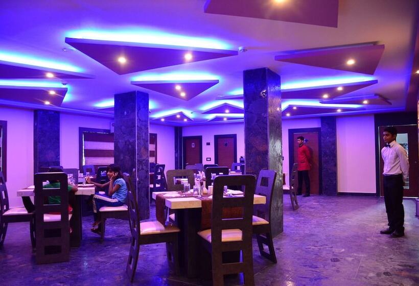 فندق Dolphin Chocolate Inn