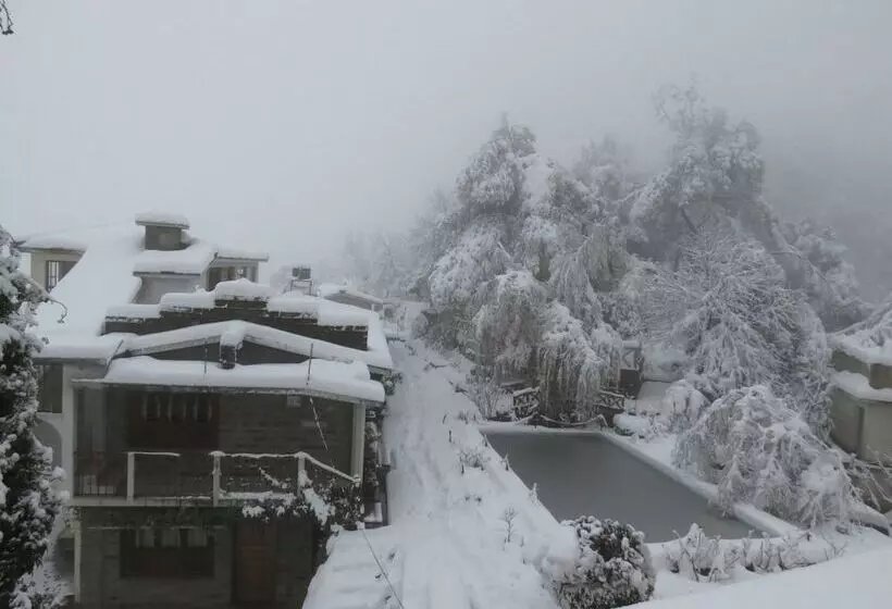 Trishul Orchard Resort