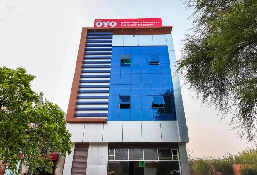 Shree Shyam Roseberry Hotel And Restaurant