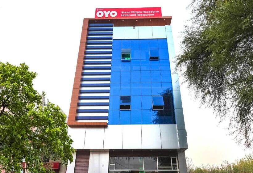 Shree Shyam Roseberry Hotel And Restaurant