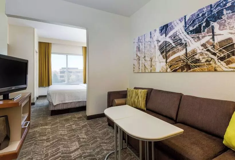 酒店 Springhill Suites Louisville Hurstbourne/north