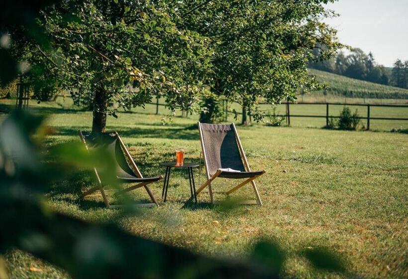 בית מלון כפרי Hirschen Stammheim