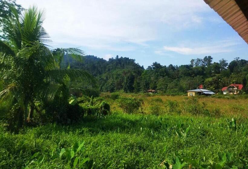Pension (Hôtel basse catégorie) Nelmann's Nipa Huts