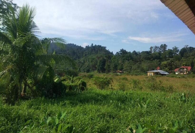 Pension (Hôtel basse catégorie) Nelmann's Nipa Huts