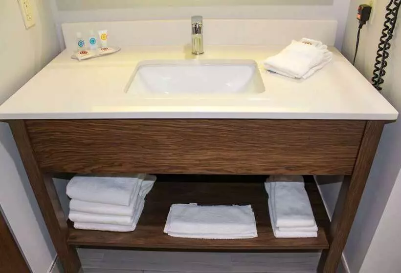 호텔 Comfort Inn & Suites Near Lake Guntersville