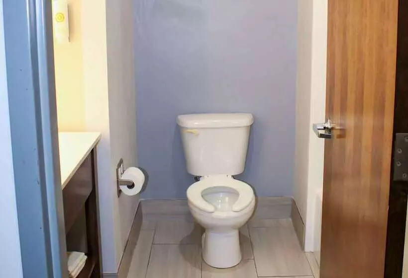 호텔 Comfort Inn & Suites Near Lake Guntersville