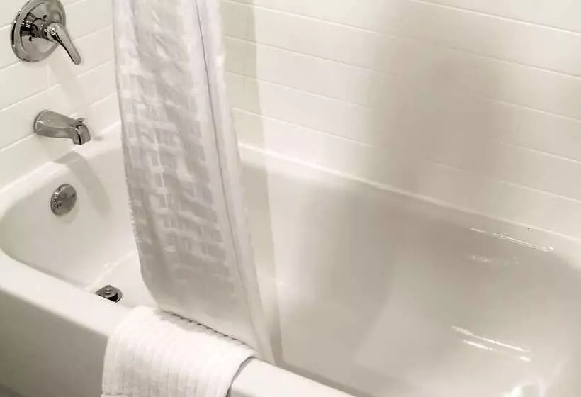 호텔 Comfort Inn & Suites Near Lake Guntersville