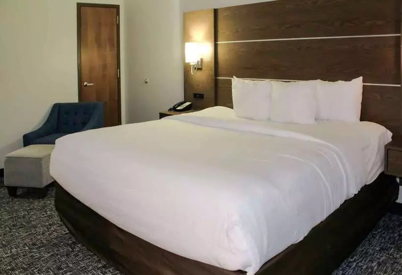 호텔 Comfort Inn & Suites Near Lake Guntersville