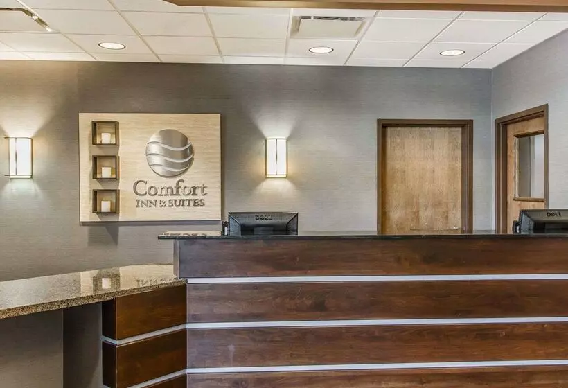 호텔 Comfort Inn & Suites Near Lake Guntersville