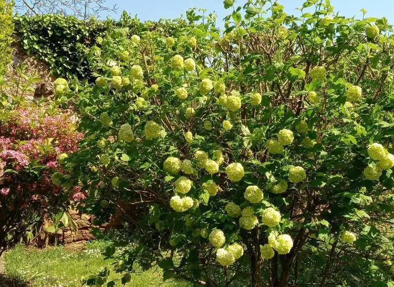 هتل Puerto Calderon