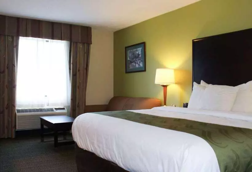 ホテル Quality Inn