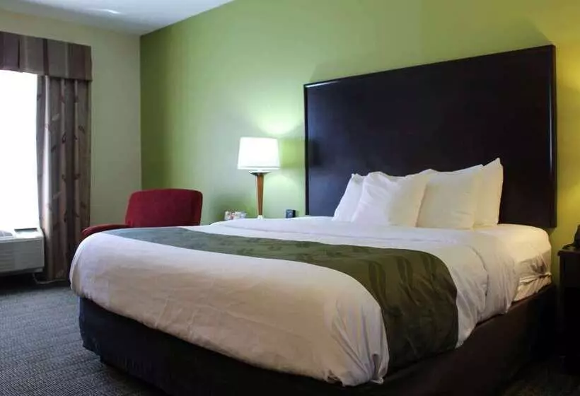 ホテル Quality Inn