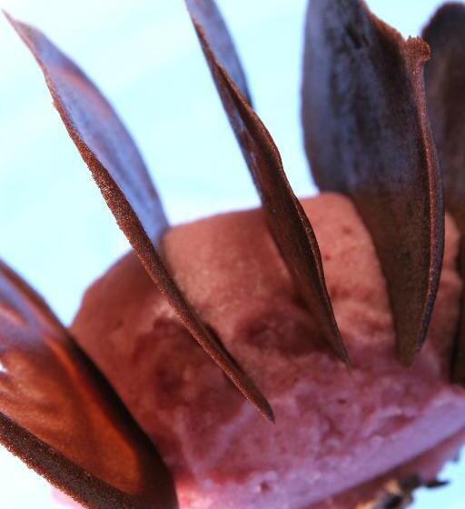 בית מלון כפרי Restaurant Le Strasbourg