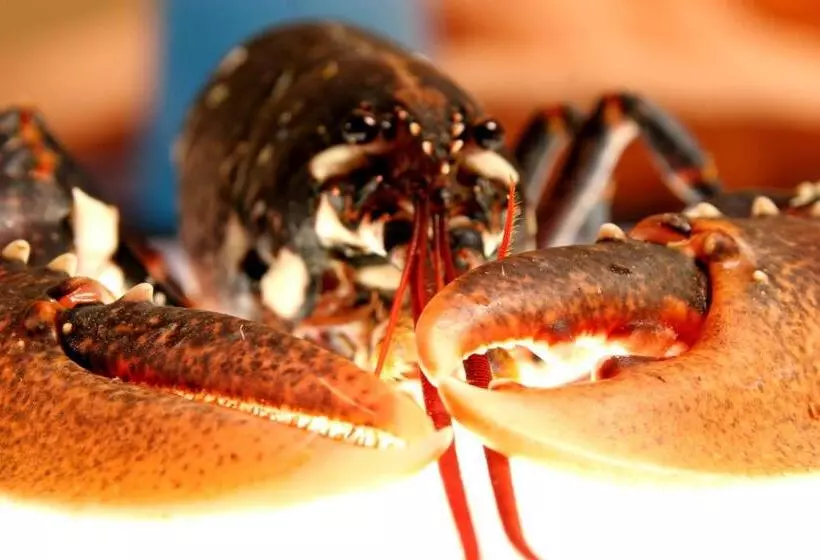 Отель Restaurant Le Strasbourg