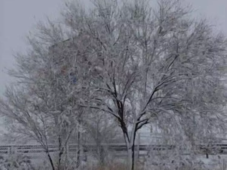 ホテル Vista Nevada