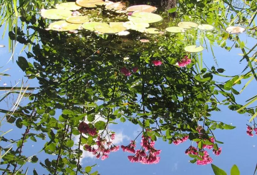 호텔 Auberge Du Grand Dauphin