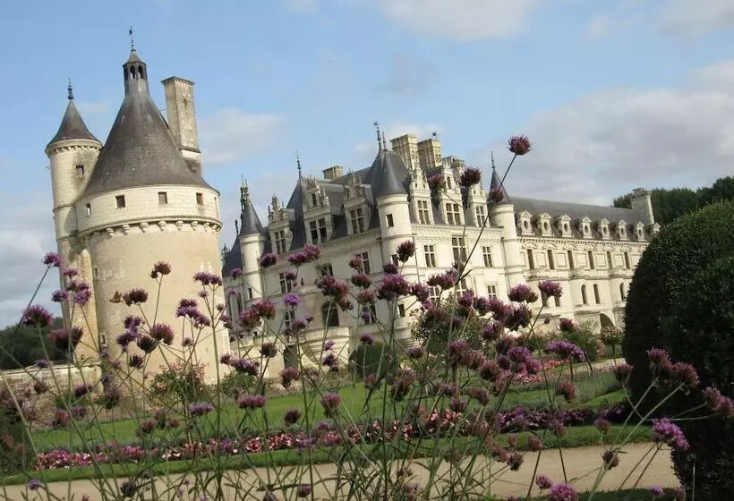 호텔 Auberge Du Grand Dauphin