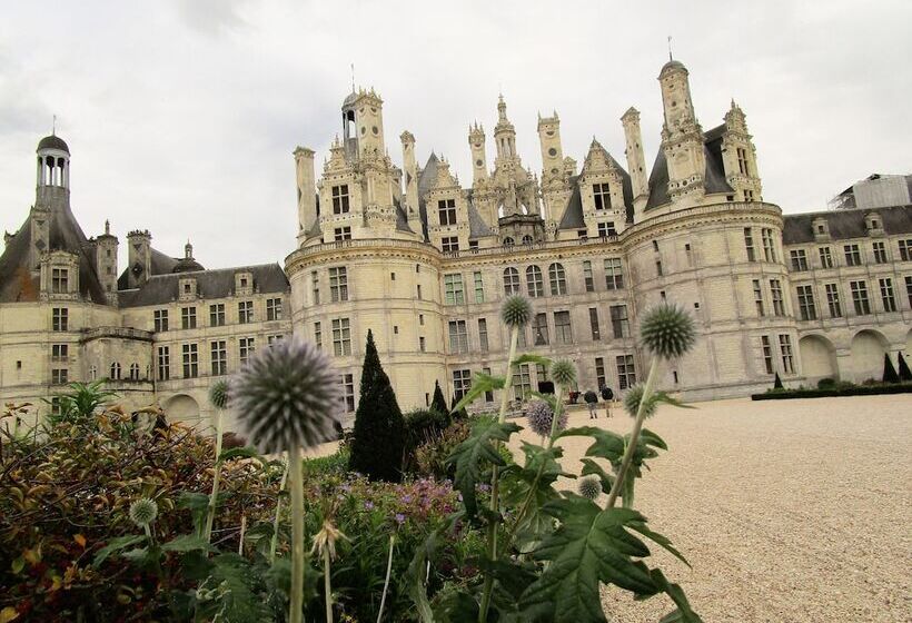 فندق Auberge Du Grand Dauphin