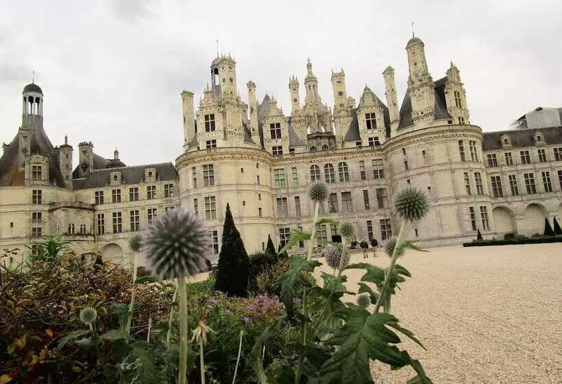 호텔 Auberge Du Grand Dauphin