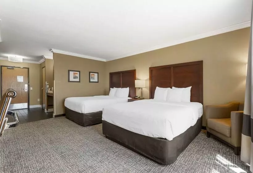 酒店 Comfort Inn & Suites Redwood Country