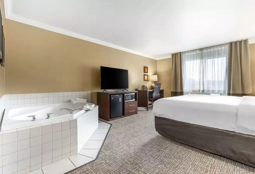 酒店 Comfort Inn & Suites Redwood Country