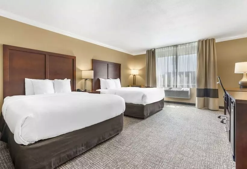 酒店 Comfort Inn & Suites Redwood Country