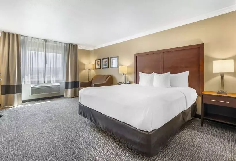 酒店 Comfort Inn & Suites Redwood Country