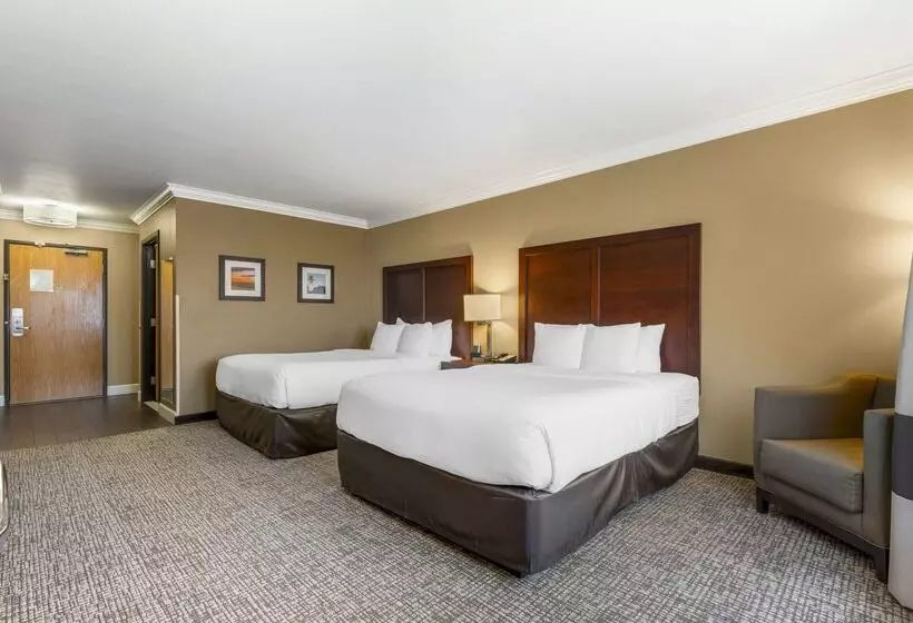 酒店 Comfort Inn & Suites Redwood Country