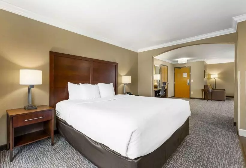 酒店 Comfort Inn & Suites Redwood Country