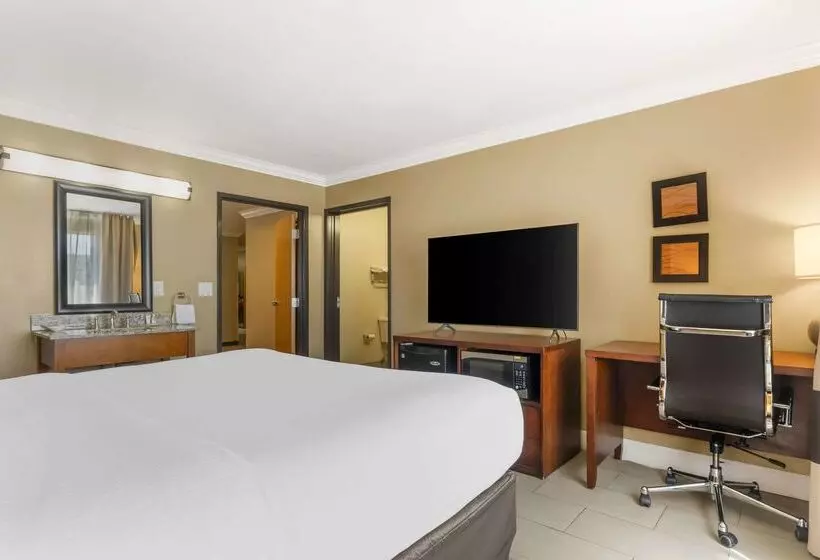 酒店 Comfort Inn & Suites Redwood Country
