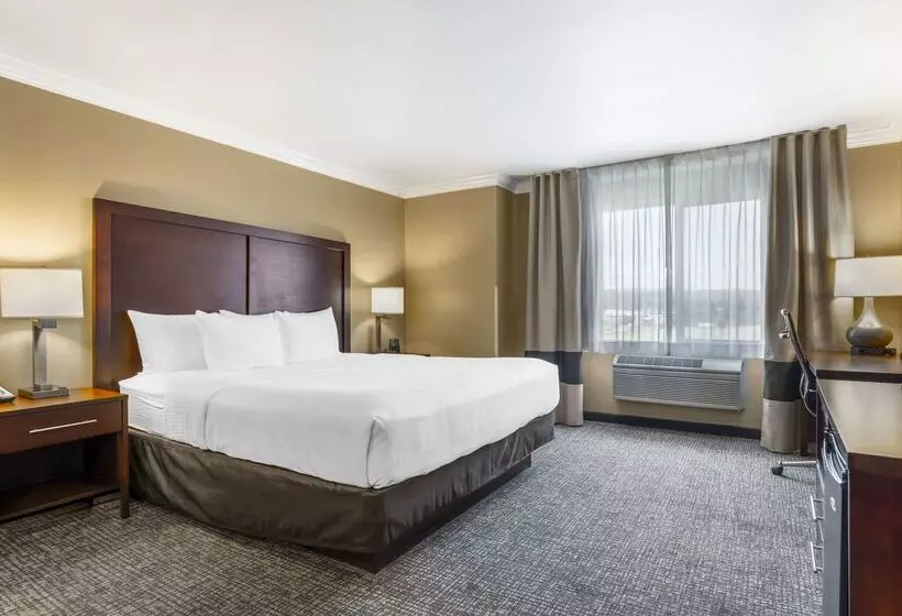 酒店 Comfort Inn & Suites Redwood Country