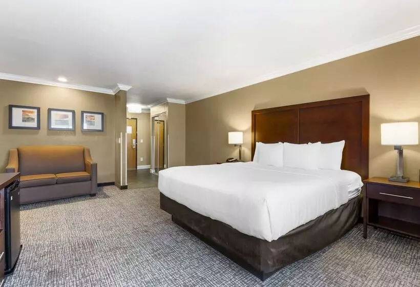 酒店 Comfort Inn & Suites Redwood Country