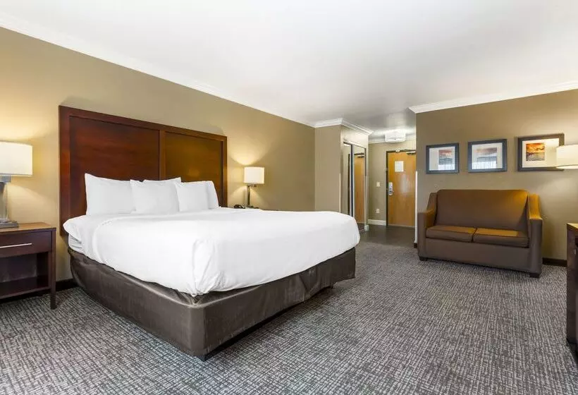 酒店 Comfort Inn & Suites Redwood Country
